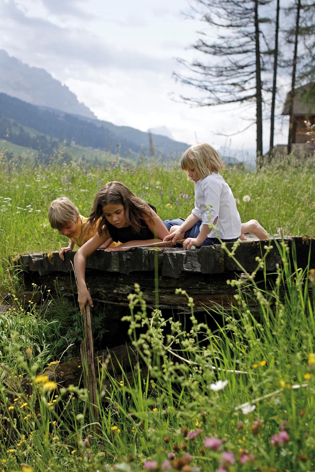 Sommerurlaub im Pustertal - Ferienwohnung Lechnerhof bei Kiens